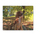 Personalized dog portrait canvas - custom pet photo wall art