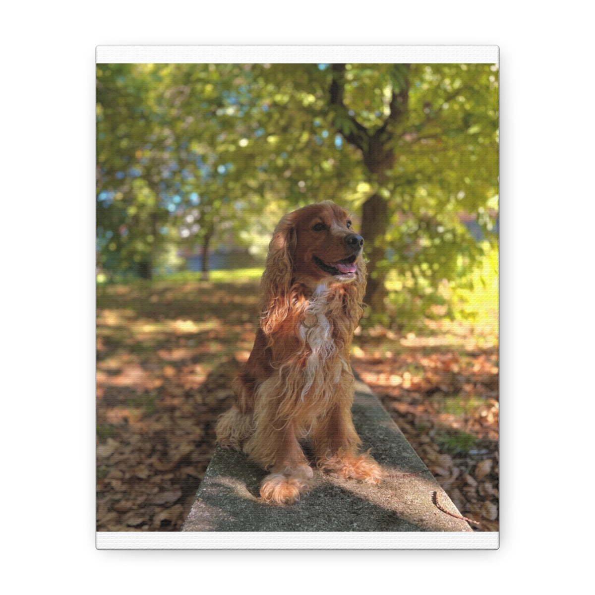 Personalized dog portrait canvas - custom pet photo wall art